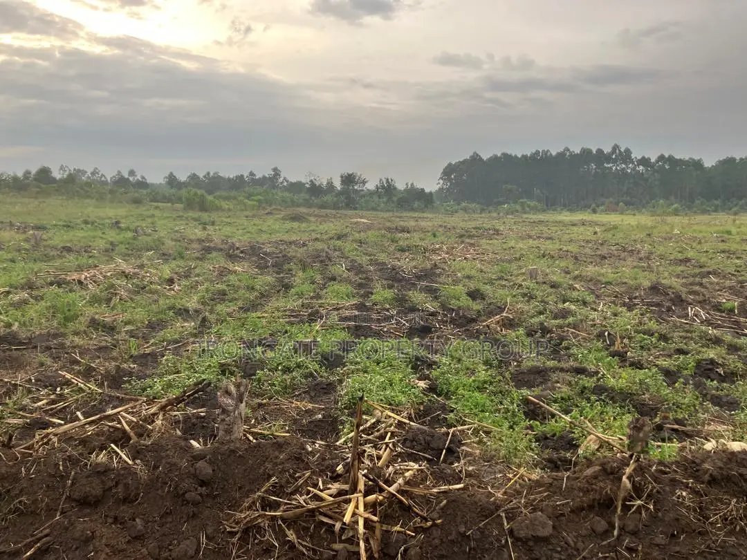 500 Acres of Private Mailo Land in Mityana, 1km From Tarmac