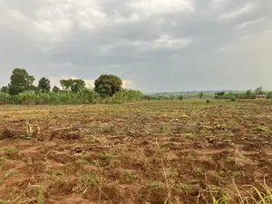 500 Acres of Private Mailo Land in Mityana, 1km From Tarmac