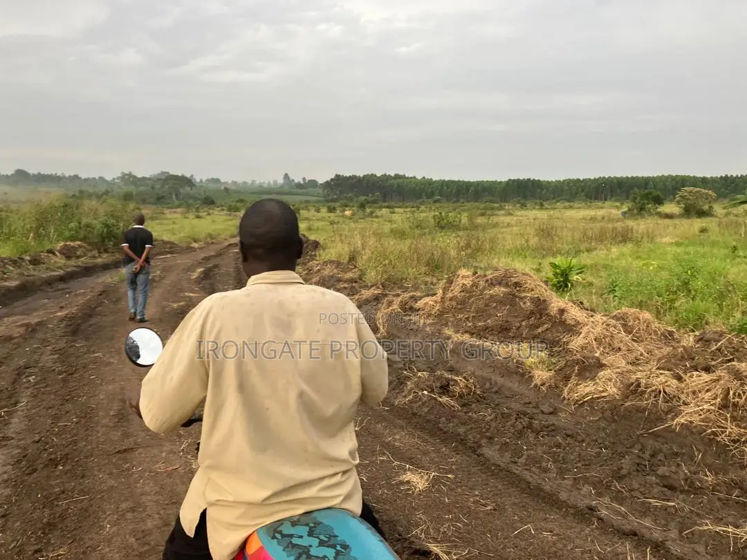 500 Acres of Private Mailo Land in Mityana, 1km From Tarmac
