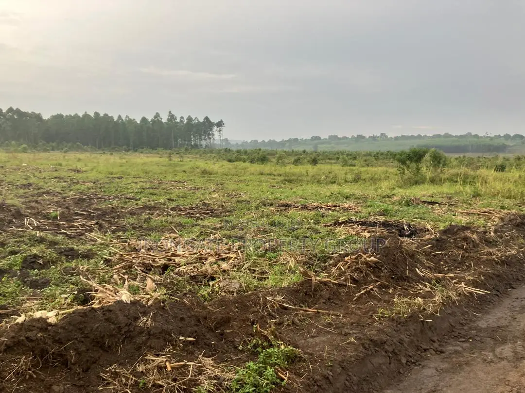 500 Acres of Private Mailo Land in Mityana, 1km From Tarmac