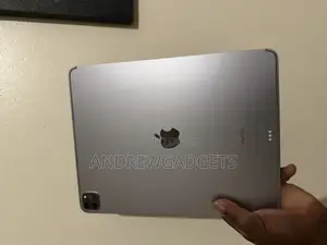 Apple iPad Pro (2022) 2 TB Gray