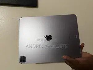 Apple iPad Pro (2022) 2 TB Gray