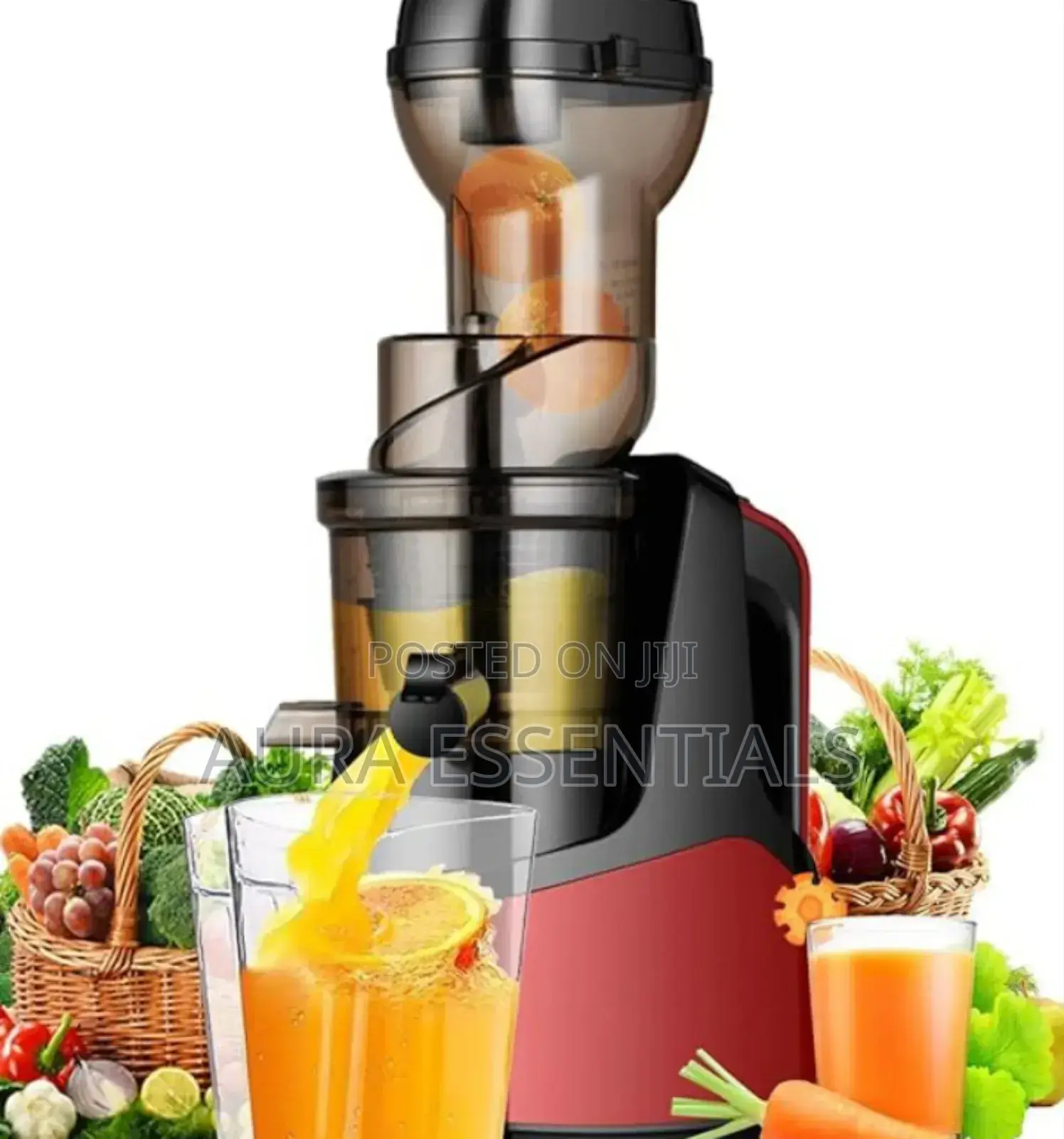 Raf Cold Press Multifunction Juicer