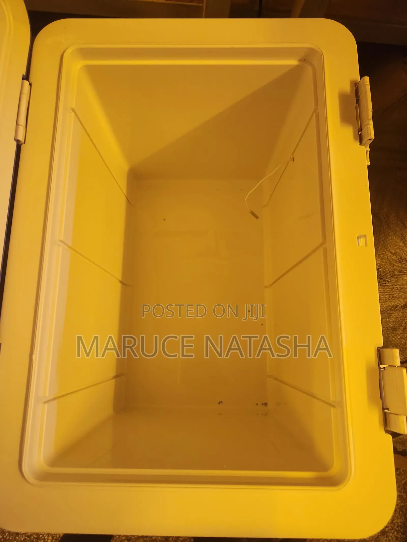 25l Blood Carrier Box