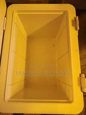 25l Blood Carrier Box