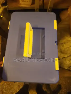 25l Blood Carrier Box