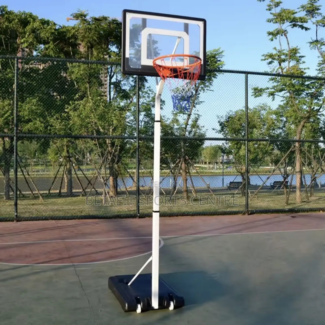 Basketball Hoops