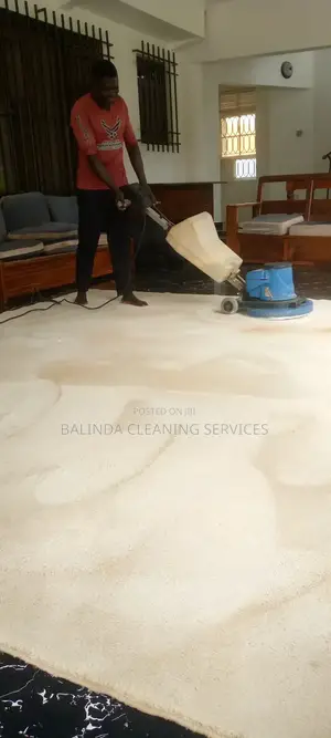 Carpet Cleaning