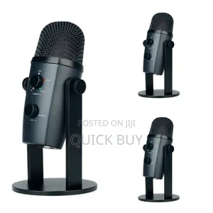 Affordable Portable Microphone