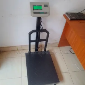High Accurate Weigh Scales 350kg Weigh Digital Platform Weighing Scale