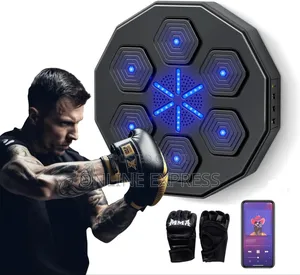 Photo - Wall Mount Boxing Machine With Gloves
