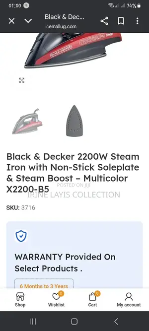 Black +  Decor Steam Iron