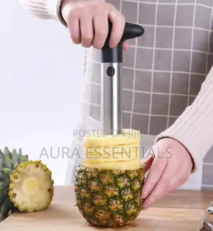 Stainless Steel Pineapple Core Remover