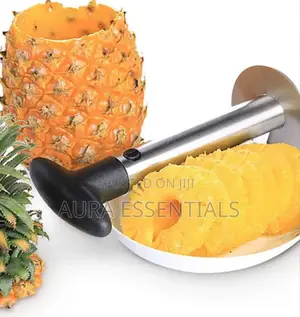 Stainless Steel Pineapple Core Remover
