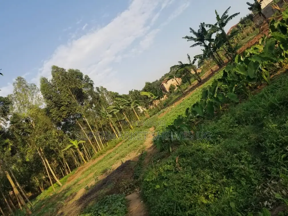 Commercial Land 5acrs on Sale in Bweyogerere Welspring 1.7m