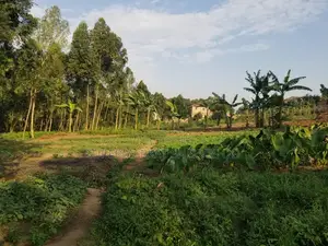 Commercial Land 5acrs on Sale in Bweyogerere Welspring 1.7m
