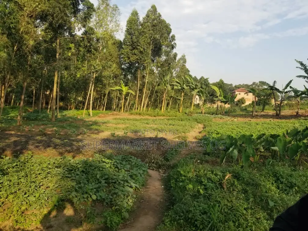 Commercial Land 5acrs on Sale in Bweyogerere Welspring 1.7m