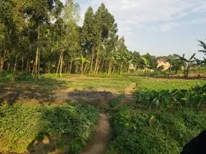 Commercial Land 5acrs on Sale in Bweyogerere Welspring 1.7m