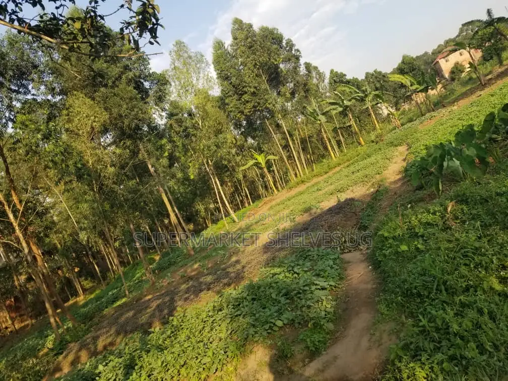 Commercial Land 5acrs on Sale in Bweyogerere Welspring 1.7m