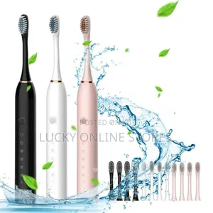 Sk-601 Rechargeable Toothbrush