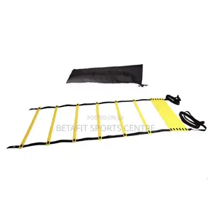 Agility Training Ladder