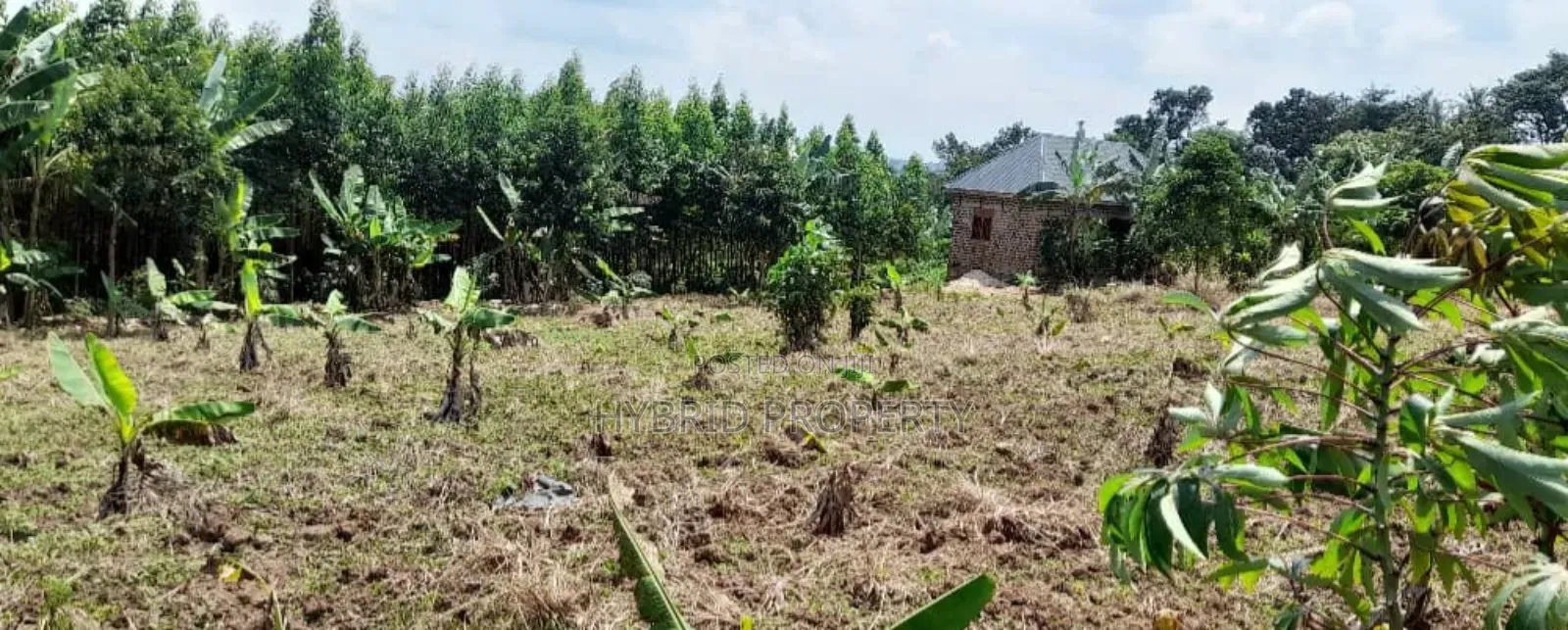 Prime Plots For Sale At Mwera Divine Land Estate~Hoima Road.