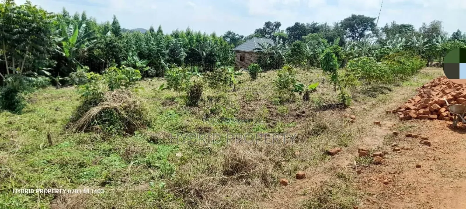 Prime Plots For Sale At Mwera Divine Land Estate~Hoima Road.
