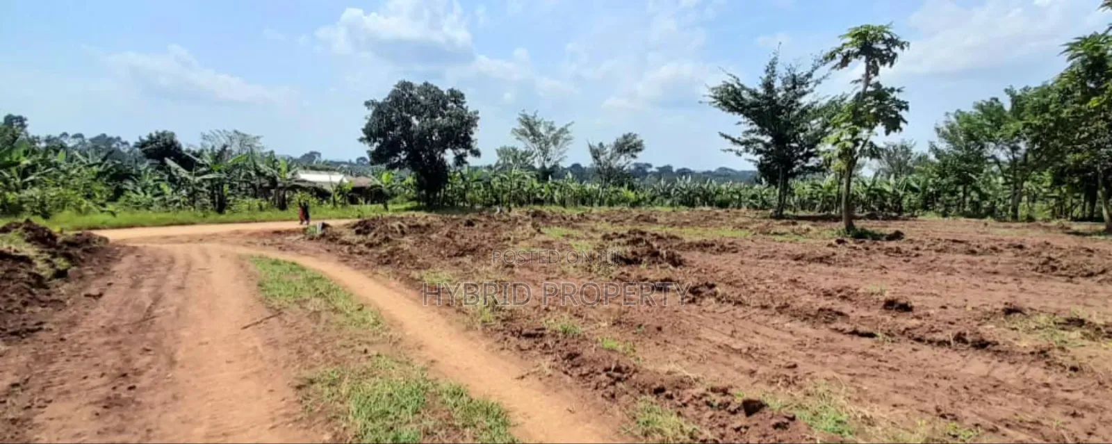 Prime Plots For Sale At Mwera~Namagera Estate~Hoima Road.
