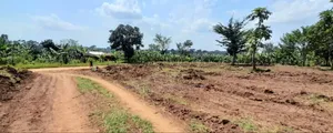Prime Plots For Sale At Mwera~Namagera Estate~Hoima Road.