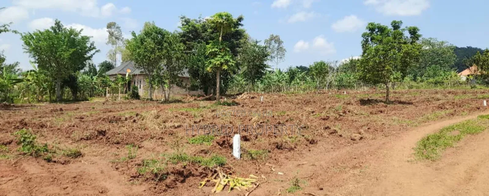 Prime Plots For Sale At Mwera~Namagera Estate~Hoima Road.