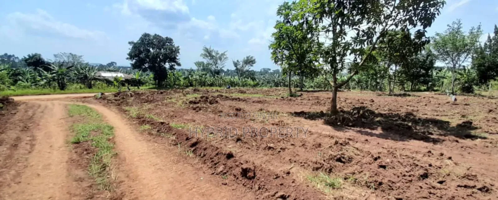 Prime Plots For Sale At Mwera~Namagera Estate~Hoima Road.