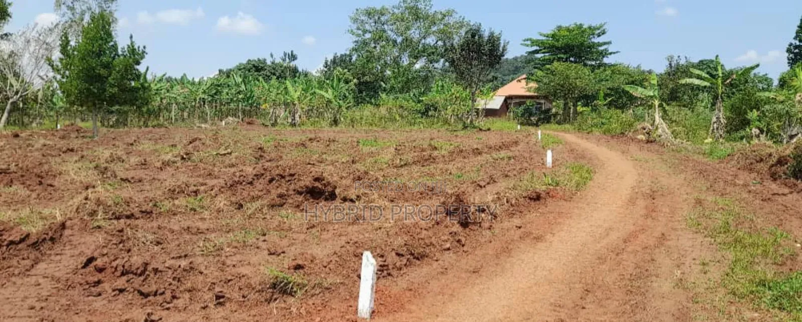 Prime Plots For Sale At Mwera~Namagera Estate~Hoima Road.
