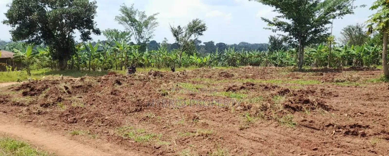 Prime Plots For Sale At Mwera~Namagera Estate~Hoima Road.