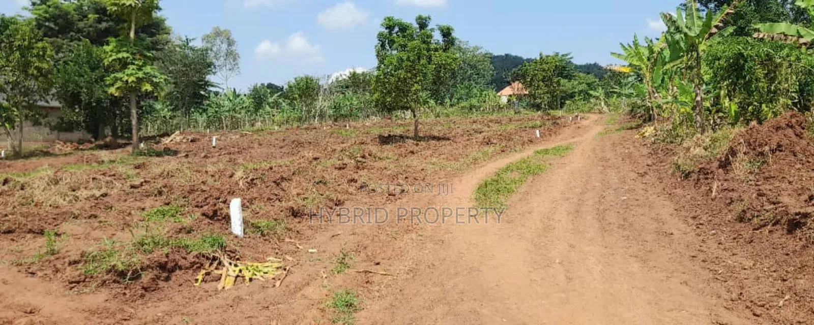 Prime Plots For Sale At Mwera~Namagera Estate~Hoima Road.