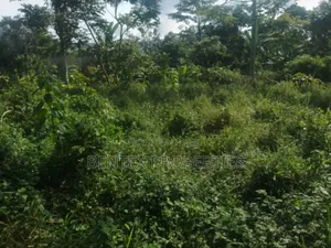 780 Acres for Sale in Luweero Kakooge Each Acre at 9m
