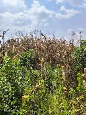 780 Acres for Sale in Luweero Kakooge Each Acre at 9m