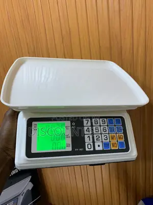 Best Original Computing Digital Weighs Scales.