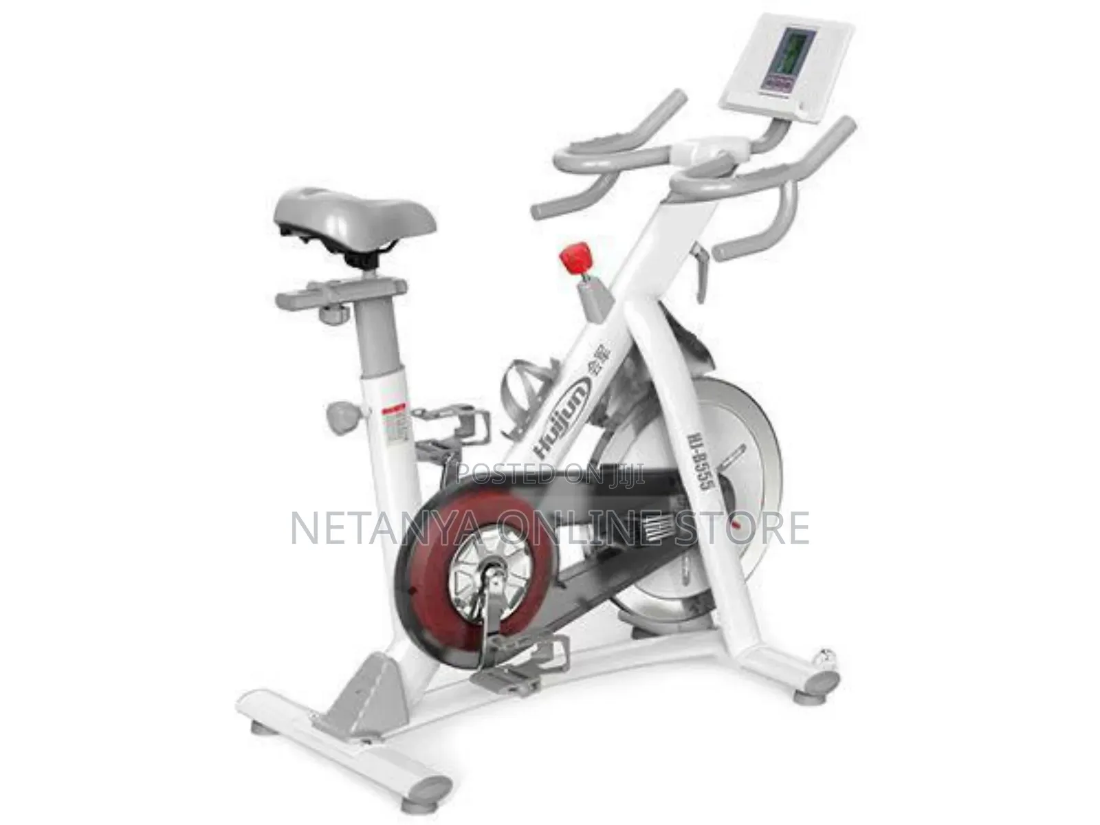 Luxury Fitness Exercise Spin Bike