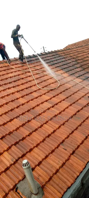 Roof Tile Cleaning