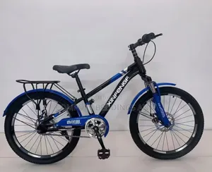 Xinfeng Bicycle Blue Size 20 10 Years And Above