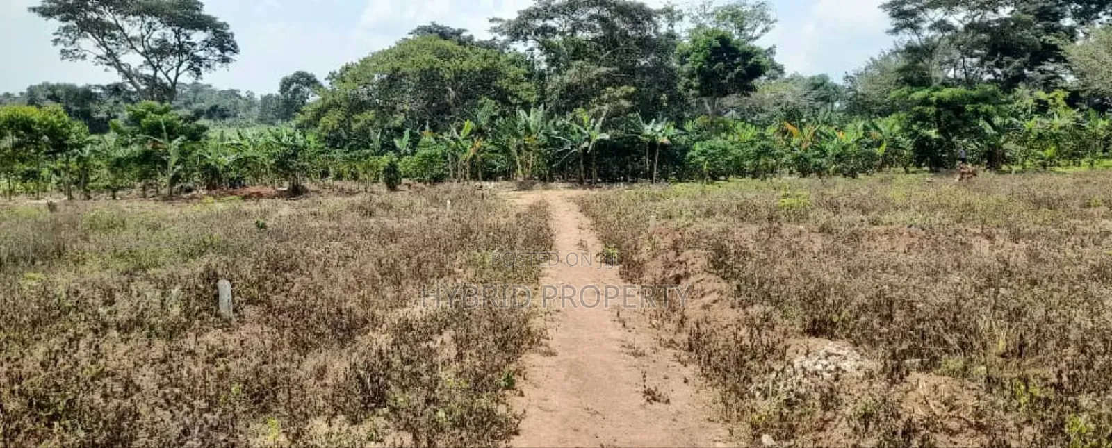 Prime Plots For Sale At Nampunge~Katiiti Divine Land Estate.