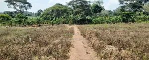 Prime Plots For Sale At Nampunge~Katiiti Divine Land Estate.