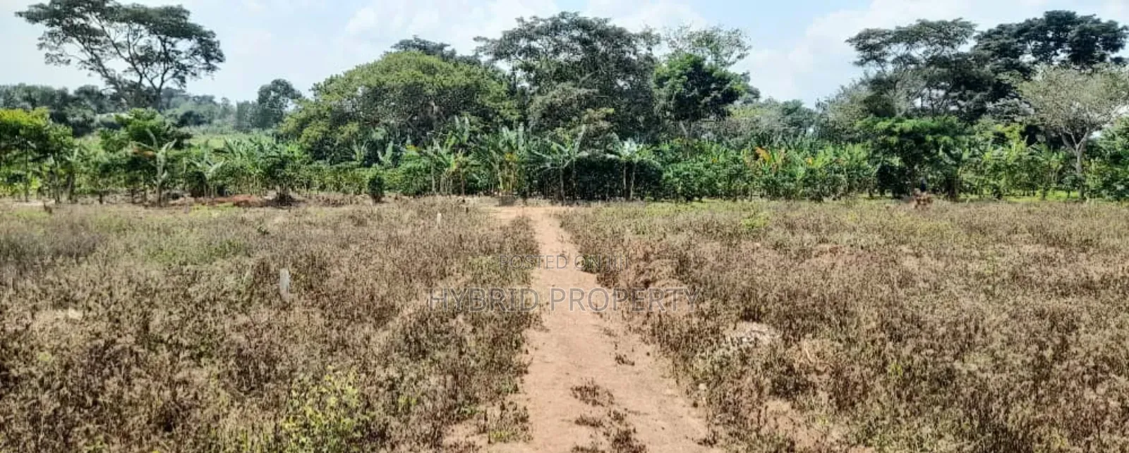 Prime Plots For Sale At Nampunge~Katiiti Divine Land Estate.