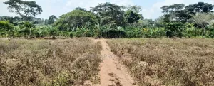 Prime Plots For Sale At Nampunge~Katiiti Divine Land Estate.
