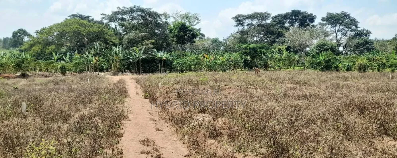 Prime Plots For Sale At Nampunge~Katiiti Divine Land Estate.