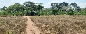 Prime Plots For Sale At Nampunge~Katiiti Divine Land Estate.