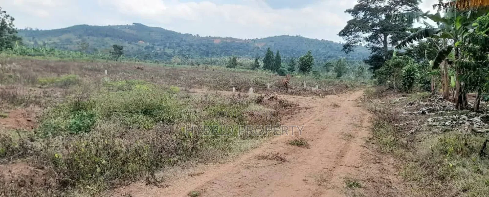 Prime Plots For Sale At Nampunge~Katiiti Divine Land Estate.