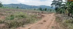 Prime Plots For Sale At Nampunge~Katiiti Divine Land Estate.