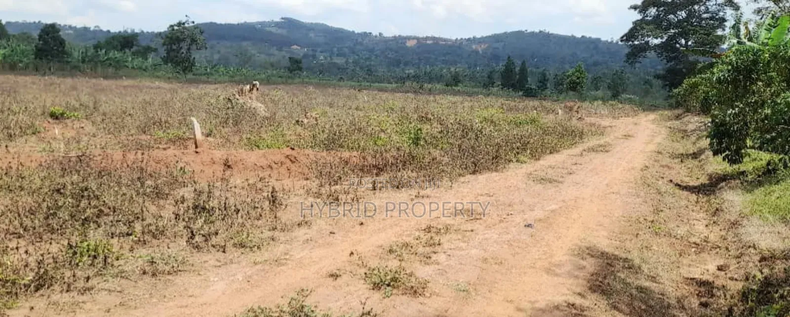 Prime Plots For Sale At Nampunge~Katiiti Divine Land Estate.