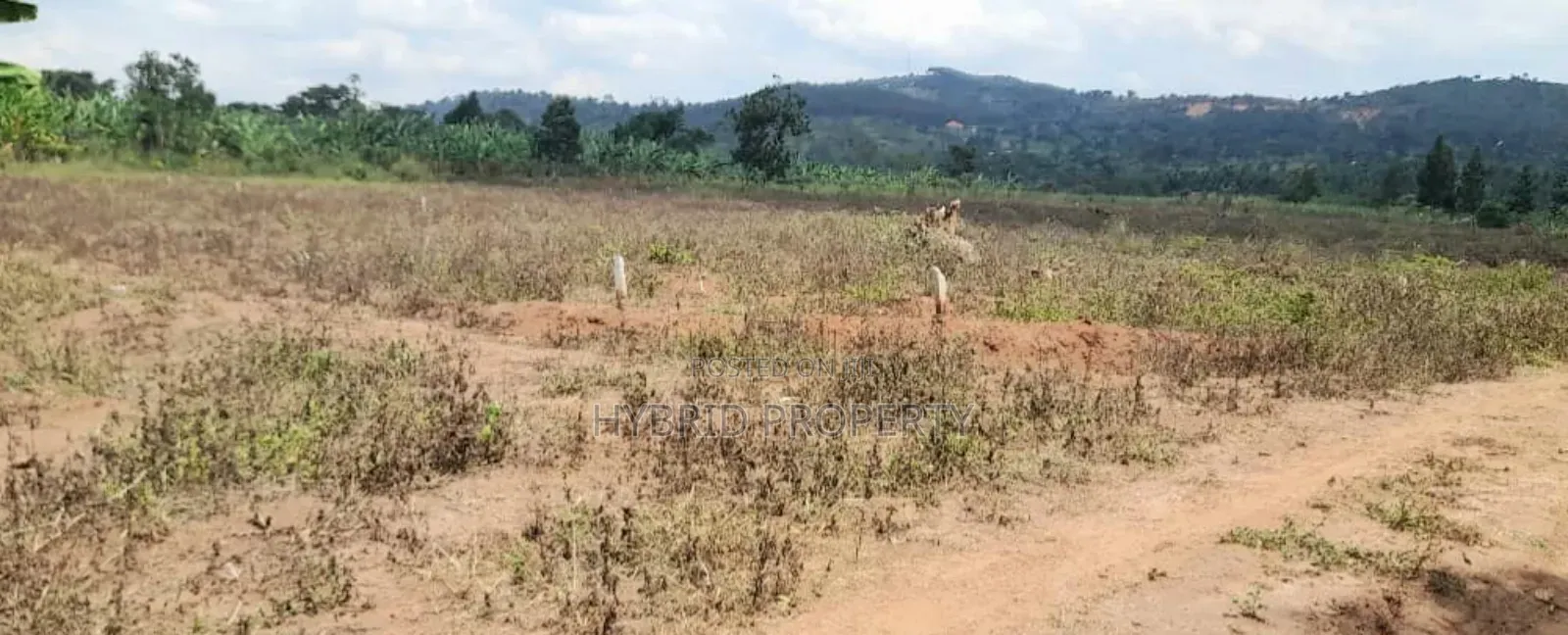 Prime Plots For Sale At Nampunge~Katiiti Divine Land Estate.
